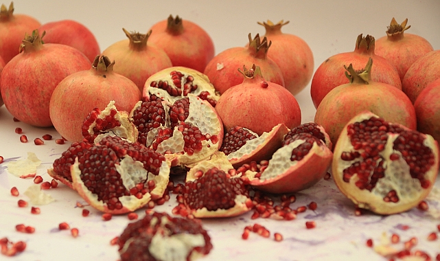 ''Nar Neşesi, Şen Tanesi'' Şenliği