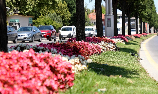 Şehrin en işlek caddeleri Büyükşehir’in dokunuşuyla çiçek bahçesine dönüşüyor bu